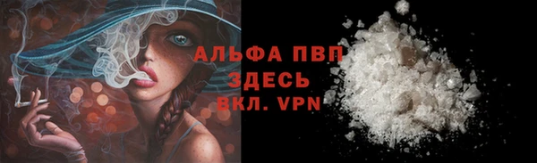 стаф Алексин