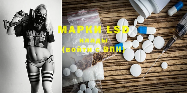 стаф Алексин