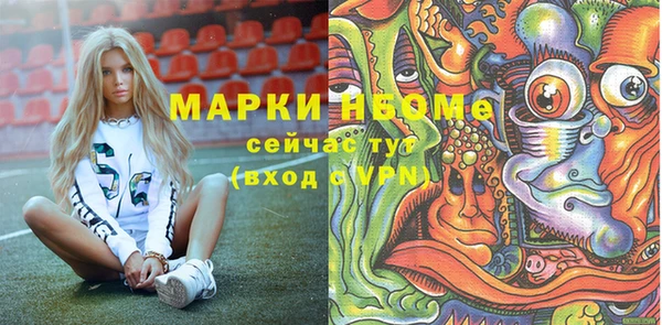 стаф Алексин