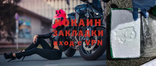 стаф Алексин
